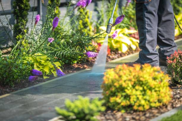 Best Pool Deck Cleaning in Taylor, PA